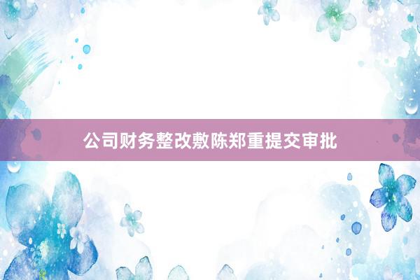 公司财务整改敷陈郑重提交审批