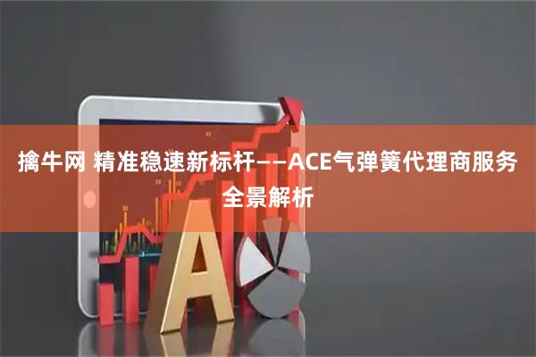 擒牛网 精准稳速新标杆——ACE气弹簧代理商服务全景解析