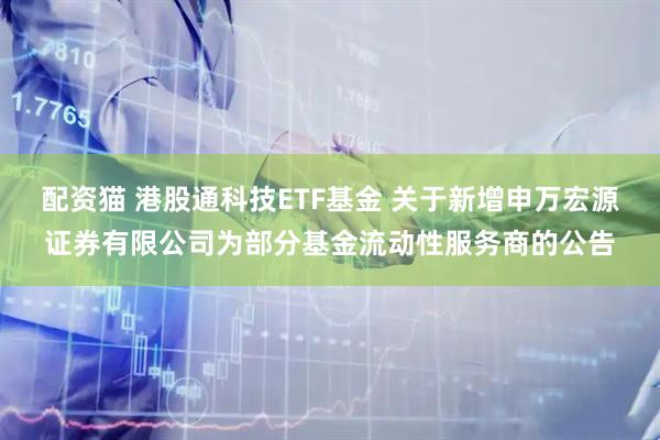 配资猫 港股通科技ETF基金 关于新增申万宏源证券有限公司为部分基金流动性服务商的公告